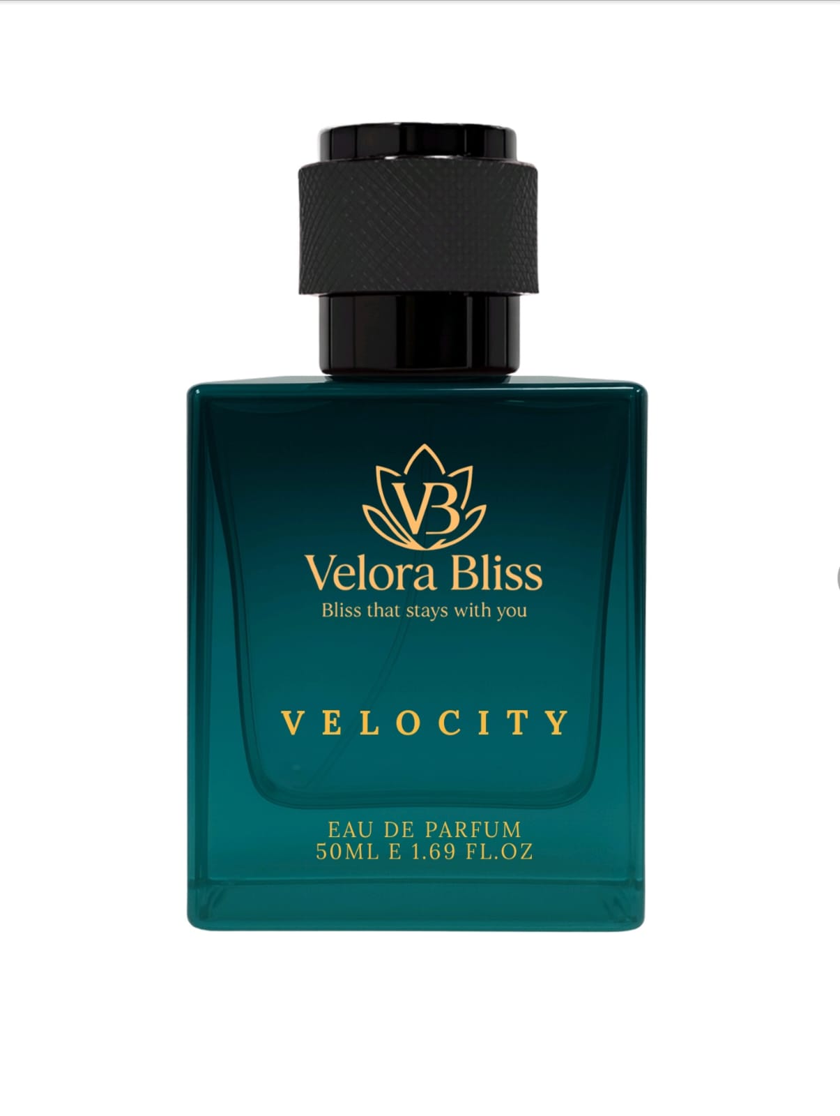 VELOCITY